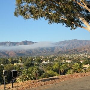 Meet your Posher, pretty feet